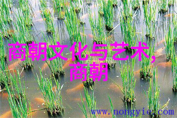 明朝17位皇帝的历史顺序从太祖到崇祯