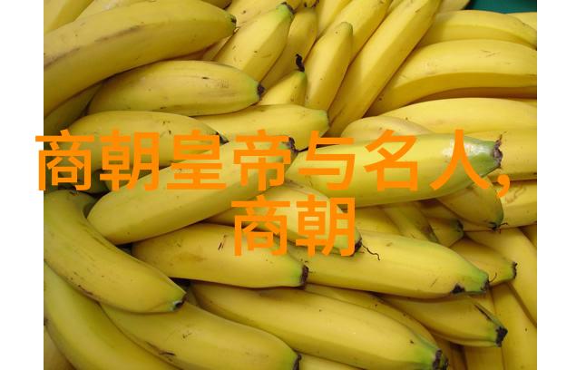 明朝无昏君何以覆灭历史的反思与教训