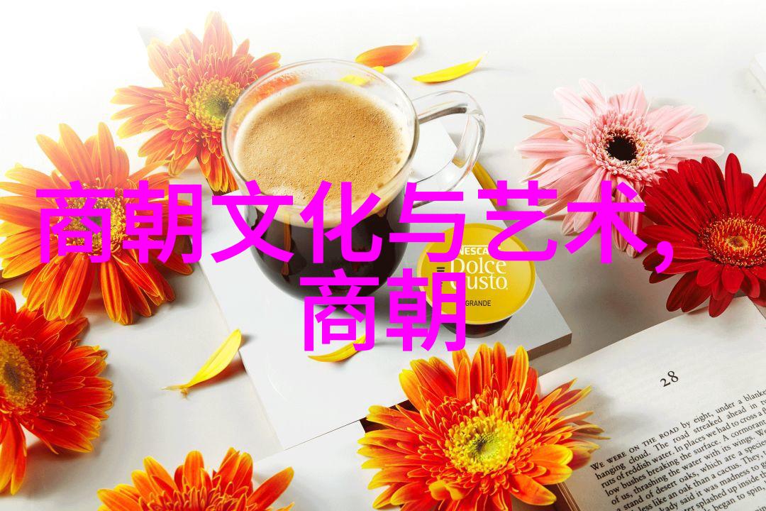 历史研究-中华文明的巍峨章节中国王朝实力排名揭秘