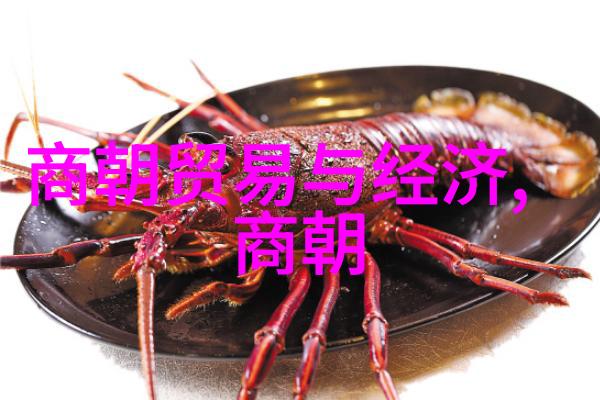 中国历史的辉煌与变迁从古代帝王到现代共和国