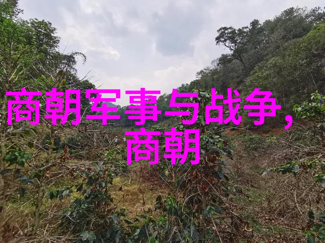 古代辉煌龙椅上的君王与时光的变迁