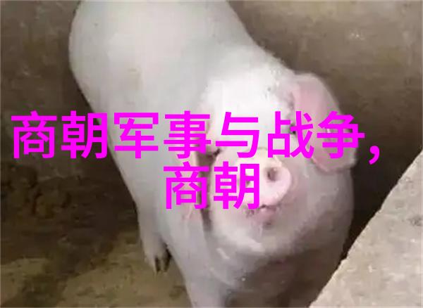 历史谜团-朱元璋为何在刘伯温去世后流泪的秘密