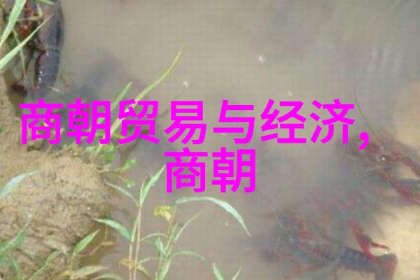 元朝的灭亡的原因我眼中的那场大溃败从忽必烈到明太祖