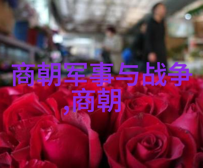明朝中华历史的辉煌篇章