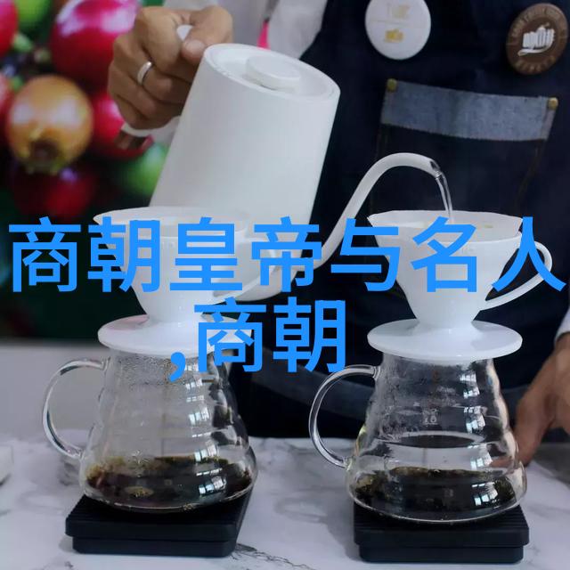 明朝风华龙的涌动历史电视剧中的明朝时期