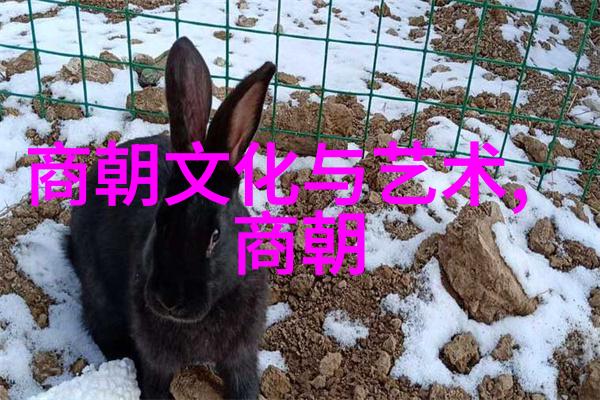 世界三大人物是谁邵金帝揭秘历史巨星