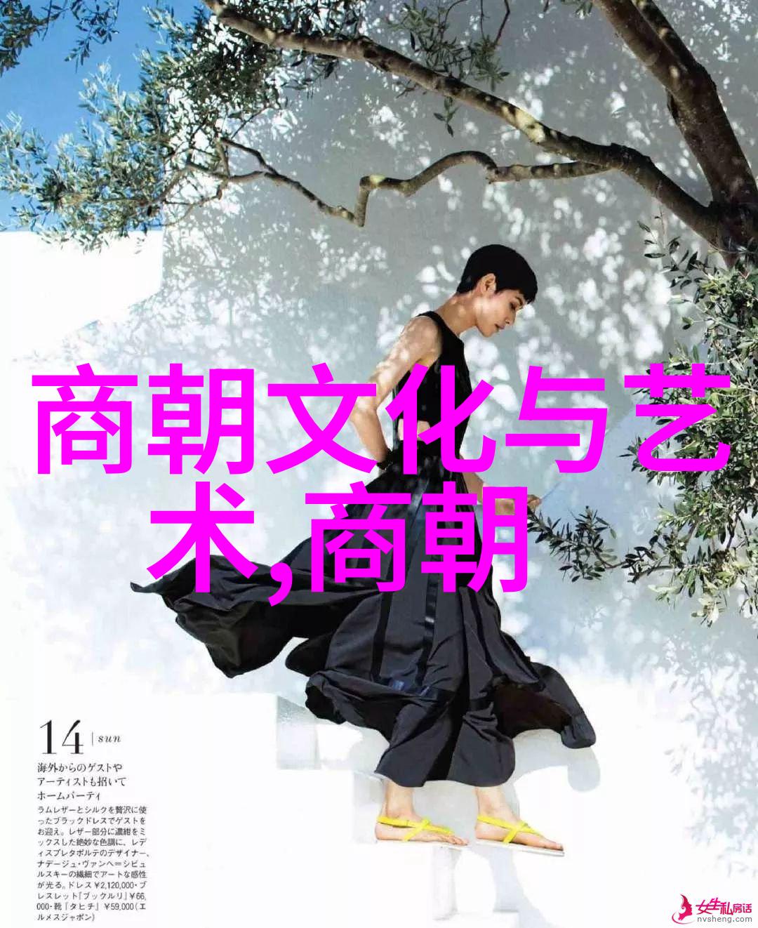 元明朝历史简介中国古代两大朝代的兴衰演变