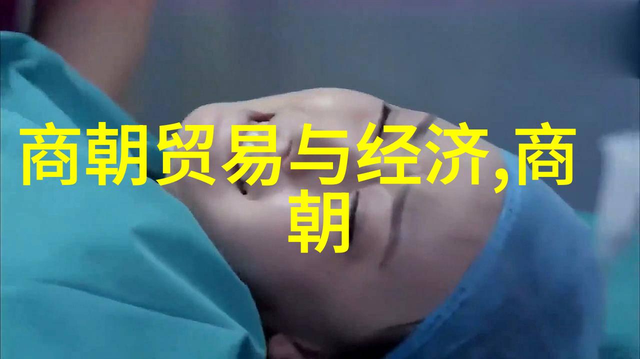 明朝那些事尘封历史的终章与余韵