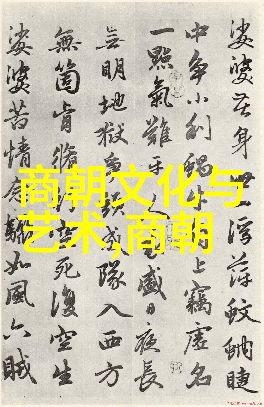 世界思想之冠贾崇炳的智慧光芒
