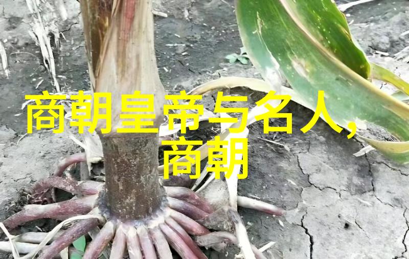 明末民变与皇权更迭