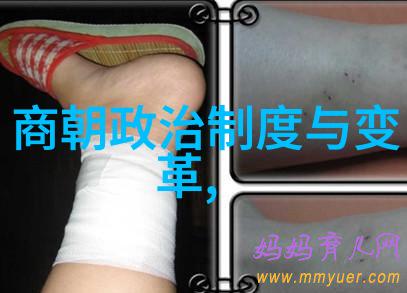 龙凤呈祥明朝君主的智慧与风采