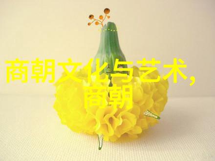 英雄的光芒黄继光的故事背后