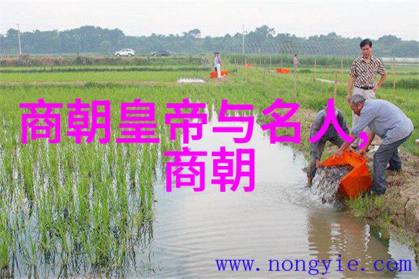 上古神话故事大全揭秘神祇与英雄的传奇