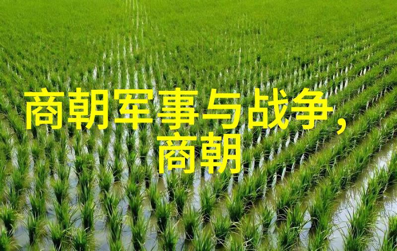 明朝那些事儿穿越千年揭秘皇权斗争的阴影之中隐藏着怎样的秘密