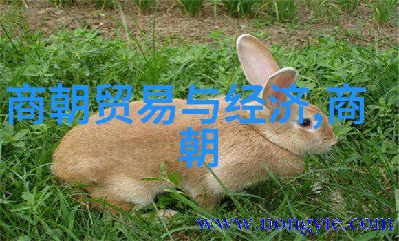 元朝历史大事元朝的重要事件和时期