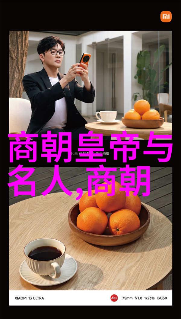 书法大家的故事刘炳清之笔舞动历史