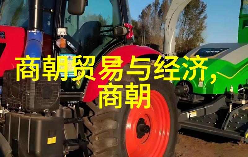 试图抹去前朝荣耀论干政时期中高层官员们如何影响了清朝三位帝王间的情绪和政策决策过程