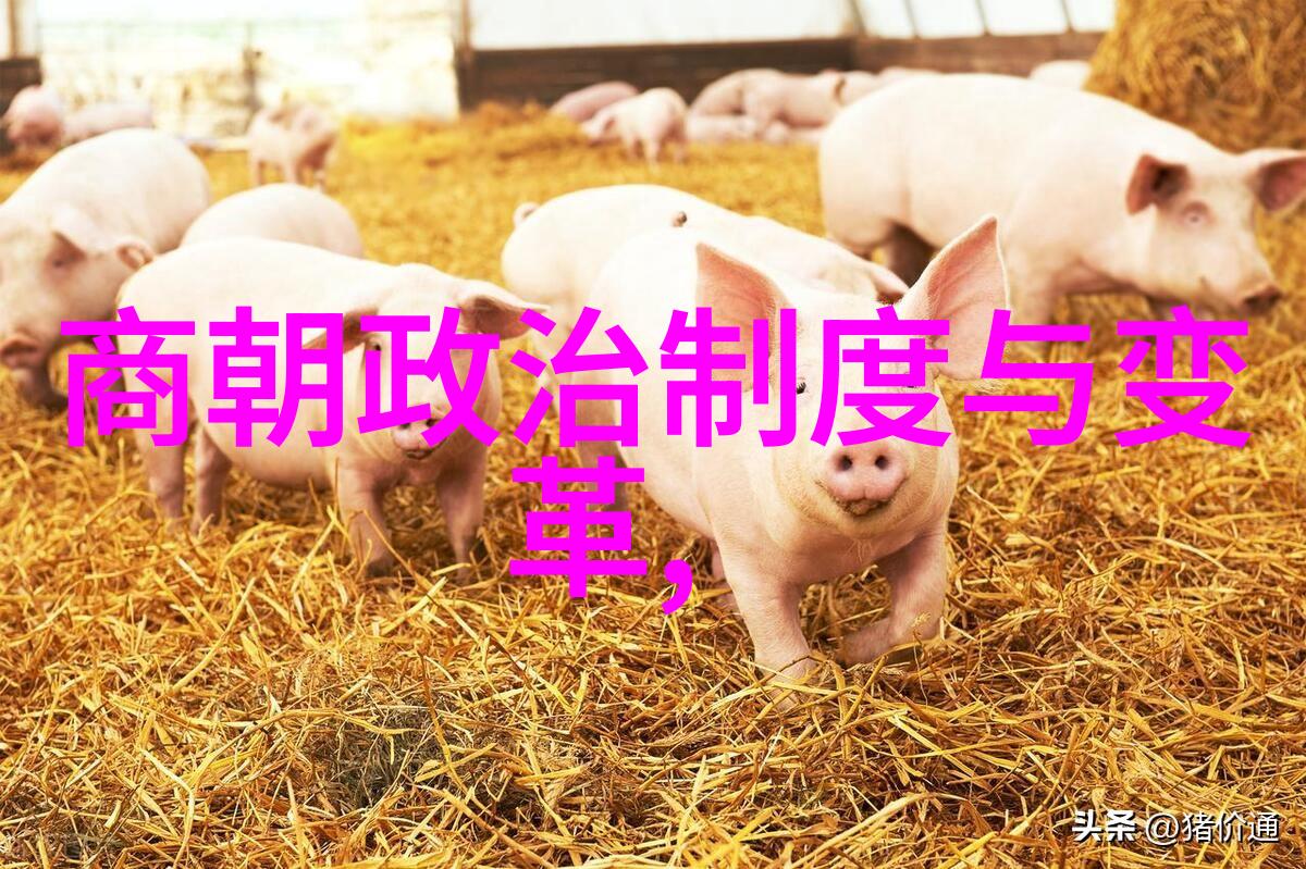 影像传递人类与动物的共生篇章探究