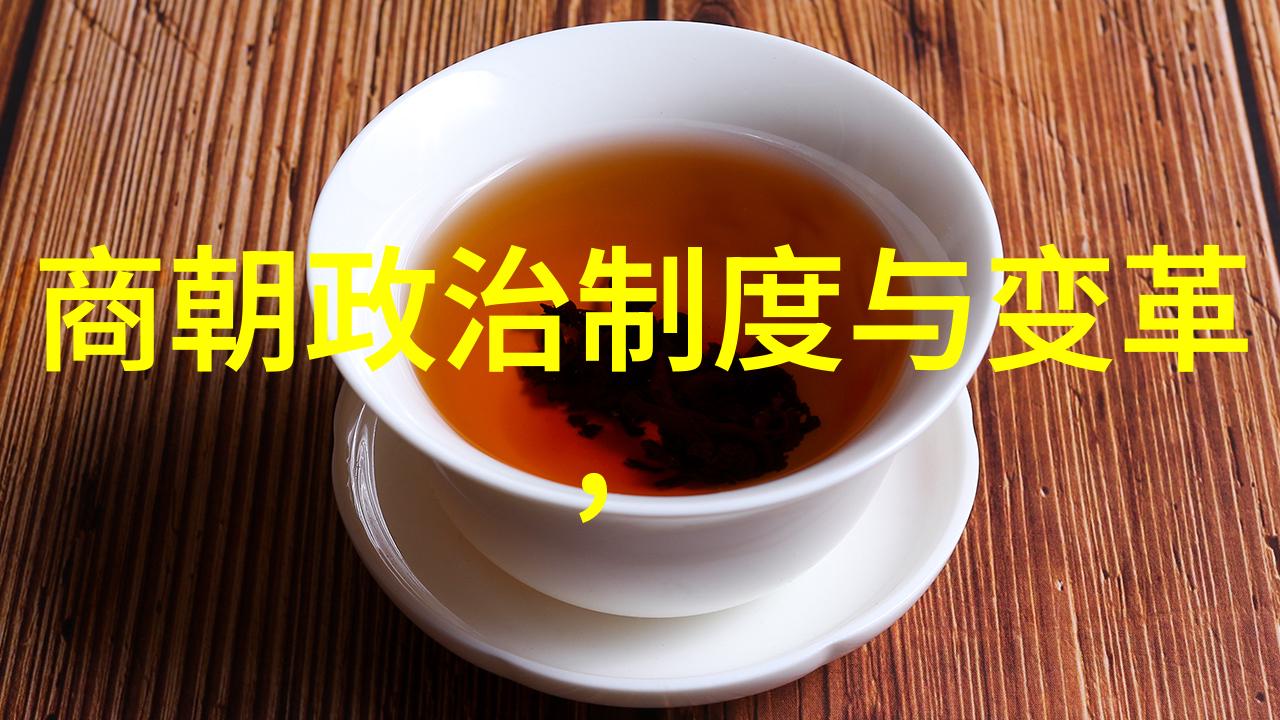 红楼梦重现明朝电视剧中的艺术与历史
