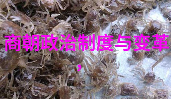 明朝我的家园的变迁