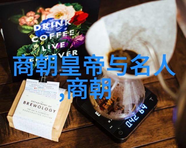 喧嚣之夜打一生肖-银河大奖赛在繁星闪烁的夜空中寻找幸运的脚步