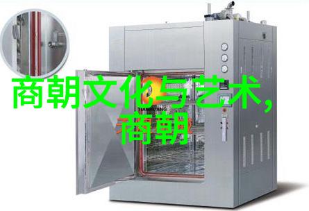 土木堡之战历史的悲剧与数百疆土的沉默