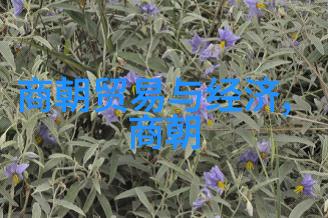 中国历代王朝有哪些-从秦至清探秘中国悠久的帝王时代