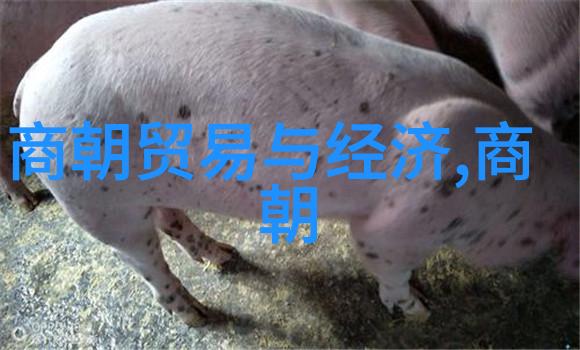 探索中国悠久的历史足迹朝代轮回的奥秘