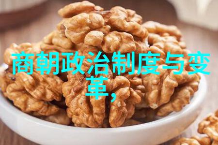 明朝历史地图中国古代时期的疆域演变