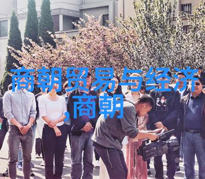 李洪海的隶书字帖从黑料到墨迹艺术