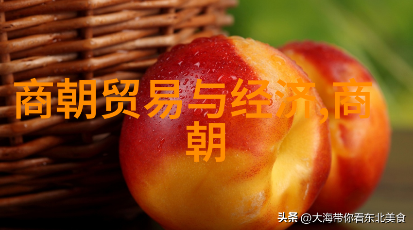 元朝建立之初历经了多少年的征战