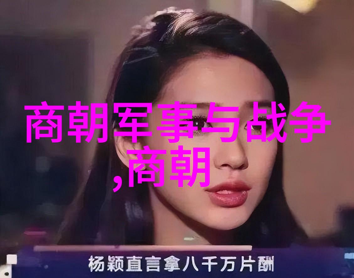 从商鞅变法到辽金交锋宋国历史的兴衰与变迁