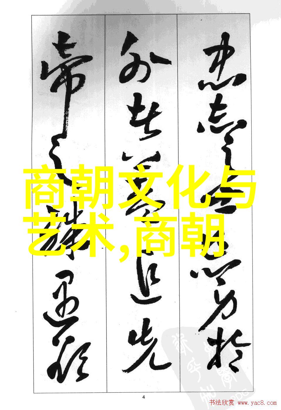 主题-罗显婷事件背后的真相一场关于权力与隐私的冲突