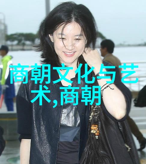 南诏国的覆灭唐朝与大理的冲突