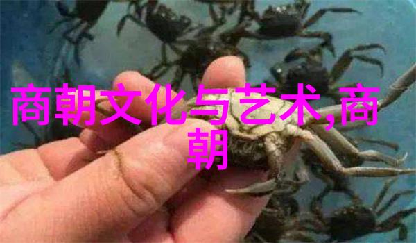 试析镜花缘中的隐喻与真实史料追溯清末政治现状