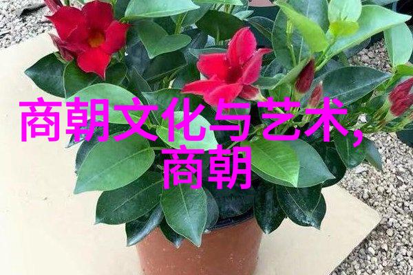 南宋和北宋哪个朝代在前面我的历史迷雾解开了
