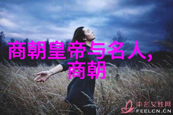 历史回声24朝代的序幕与辉煌