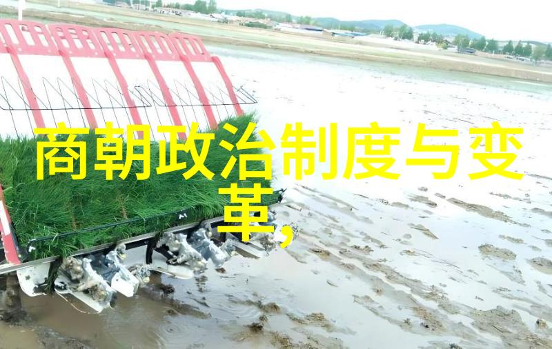 朱祁镇一生的荣辱历程