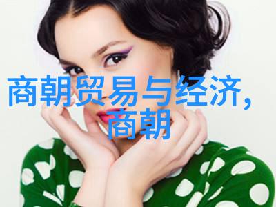 明朝末年的恐怖与灭亡满清入侵的阴影下