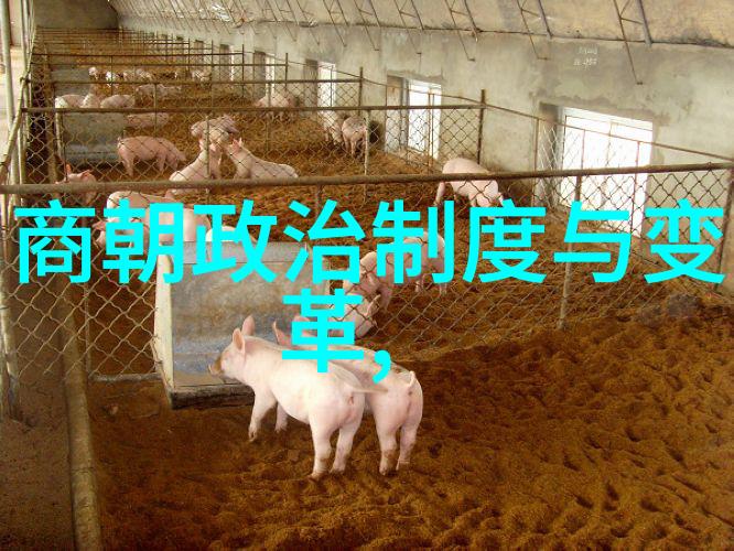 明太祖朱元璋攻占大都元朝灭亡记