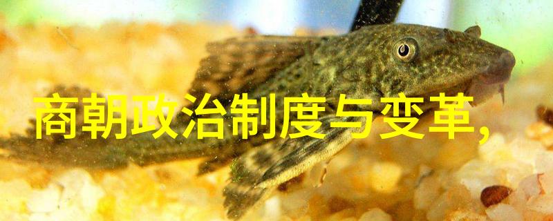 东方帝国的落幕一场历史的终结