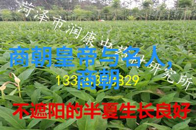 刘伯温一生中的幸运与不幸成功与挫折交织的情节