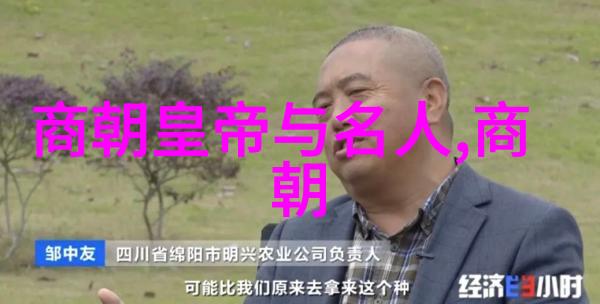 东晋的智慧星辰王羲之(303361)
