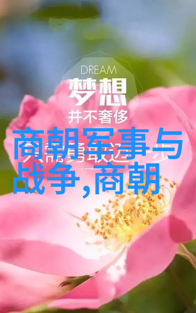 宋代时代特征总结我眼中的宋朝繁华与稳重的交响曲