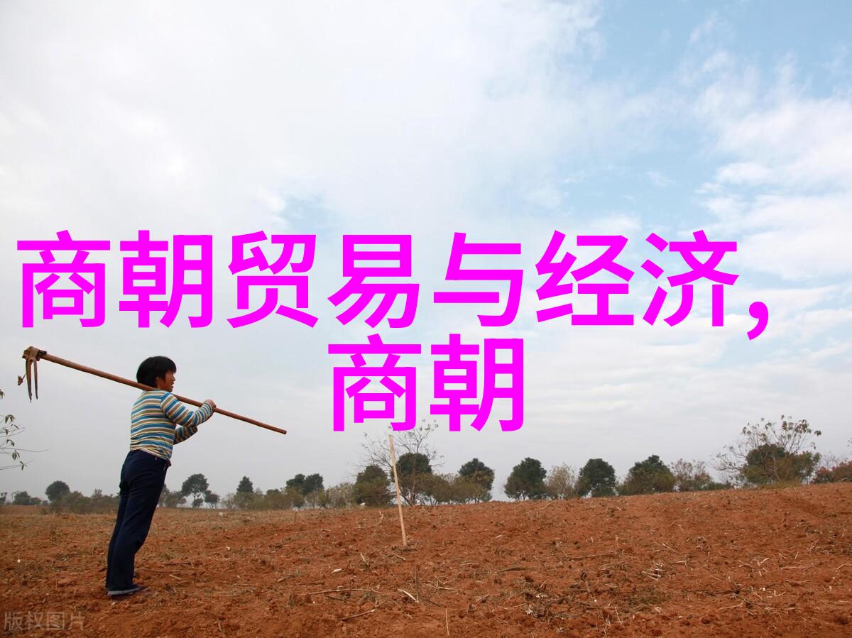 隋唐交接历史的重塑与文化的传承