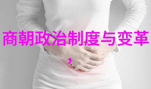 阿凡提的神话探险城内和宫中的奇遇