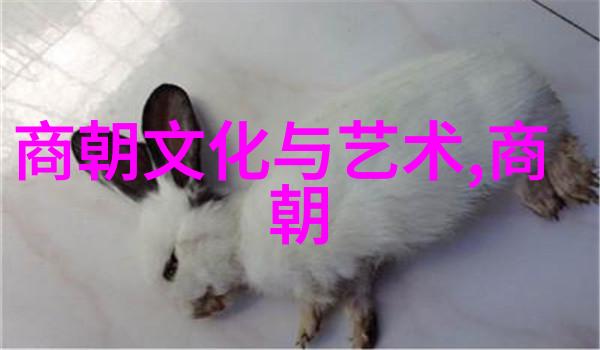 传统文化在明代的发展及其对社会影响评估