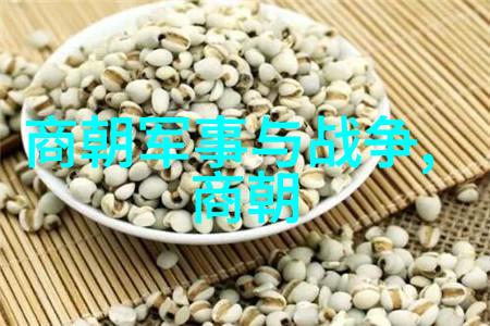 关于古代名人的历史故事-穿越时空的智者诸葛亮的建兴策略