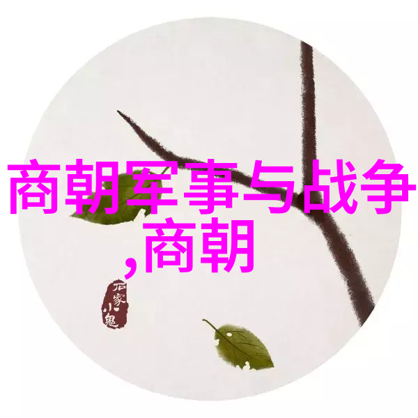 如何评价元代末期由于内忧外患导致对外扩张失败的情况