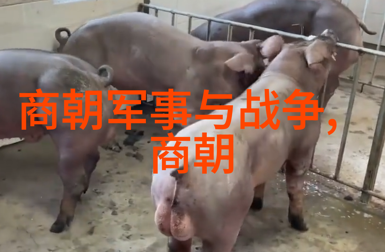 明朝那些事儿电视剧演员表-穿越时空的历史影视明朝那些事儿演员阵容全览